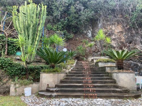 Villa - Tea Fiuzzi