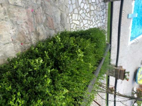Apartamento Tenuta Acquaviva