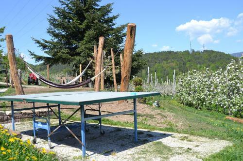 Apartamento Ferienwohnungen Schmalzerhof