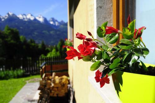 B&beautyfol Live Nature