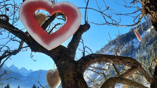 B&beautyfol Live Nature