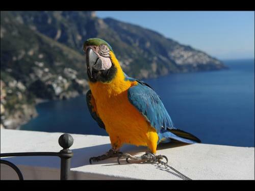Bed & Breakfast Villa Briganti Seaview Terrace