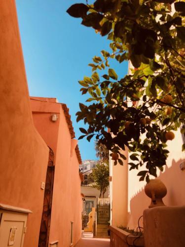 Casa Ferrante