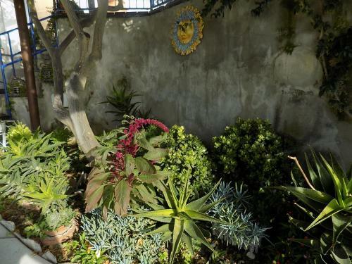 Maison De Charme Villa Mavi