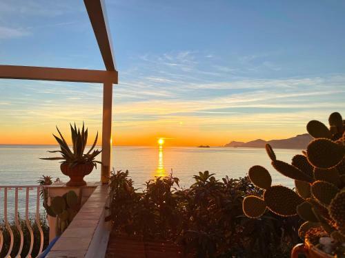 Celebrity Suite - Big Terrace On The Sea