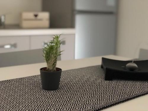 B&B Luxury Apartments