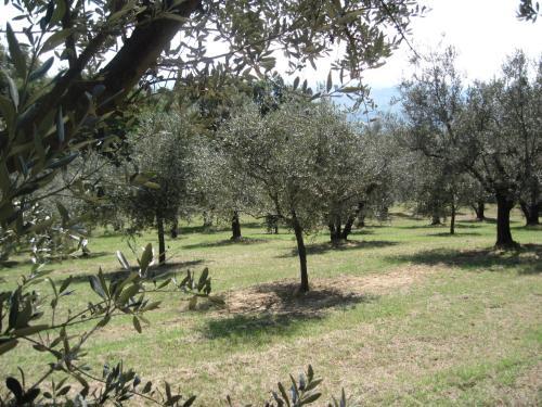 Apartamento Tenuta Olmatello