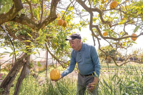 Hostal Calacala Rooms & Farm Experience