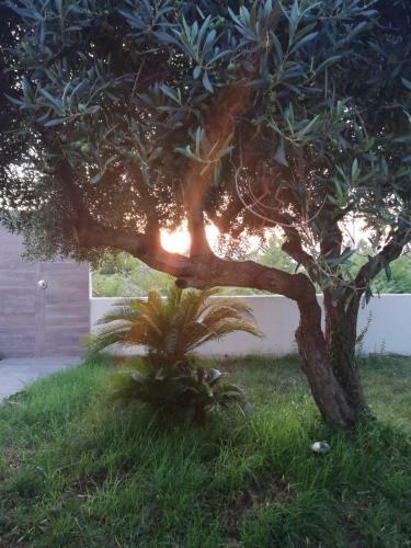 Apartamento Residenza Marcella