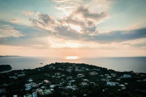 Bed & Breakfast L'agrumeto