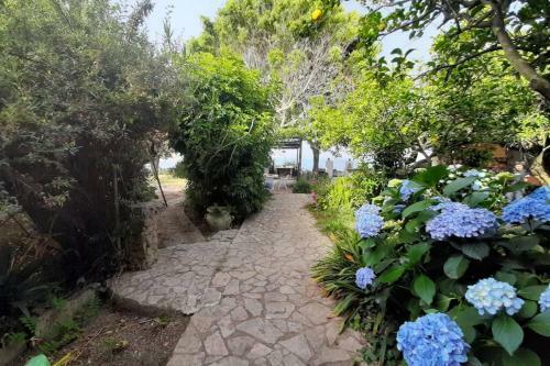 Villa Il Giardino Blu Oltremare - Exlusive Terrace