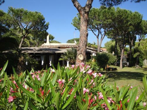 Villa Stella