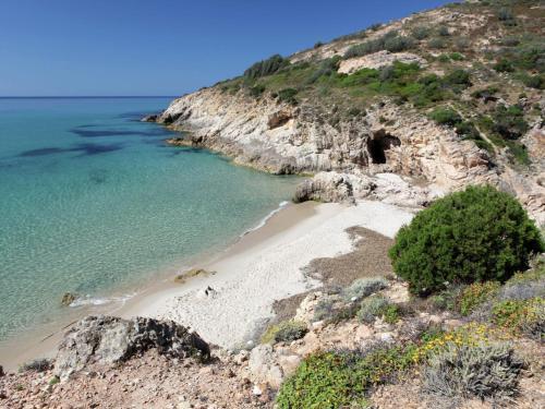 Lovely Apartment In Sardegna With Shared Garden