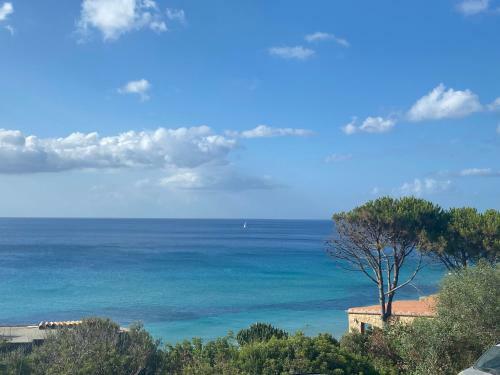 Apartamento Casa Pinus