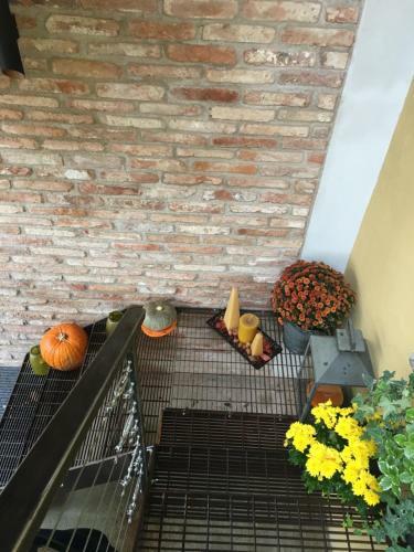 Hostal La Lanterna Camere & More