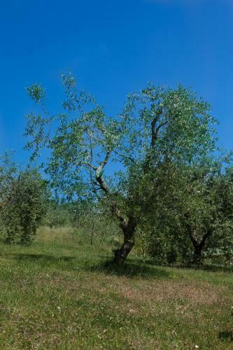 Apartamento Il Vecchio Mulino Toscana