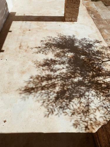 Apartamento Trullo Contrada Specchi