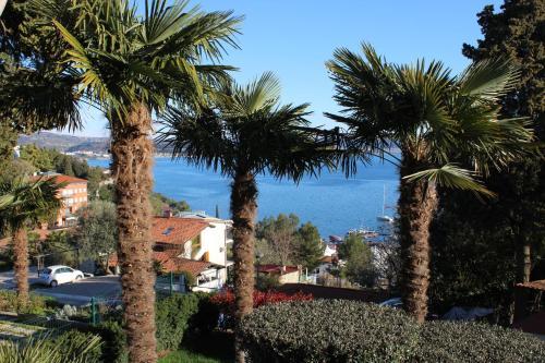 Bed & Breakfast Pension Silvia