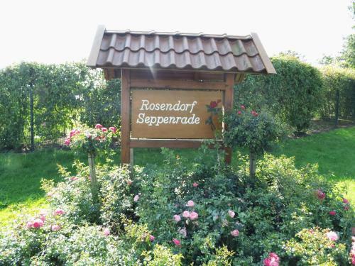 Hostal Ferienwohnung Und -zimmer Becks