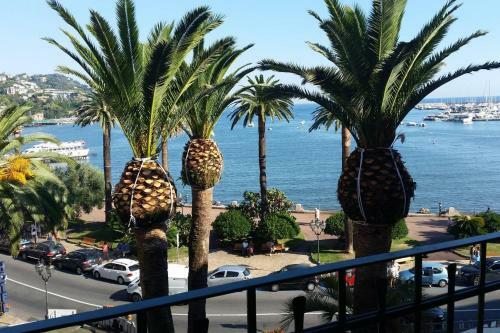 Apartamento Blurapallo