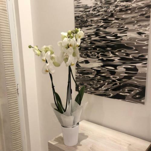Apartamento La Casa Di Gio