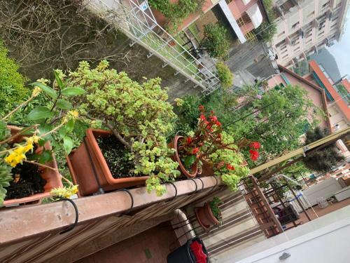 Apartamento Nonna Isa