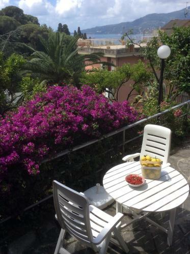 Apartamento C� Limoni