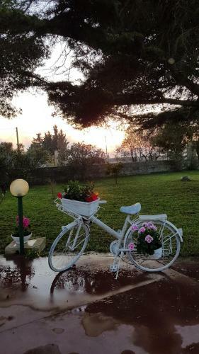 Hostal La Dimora Di Nonno Nuccio