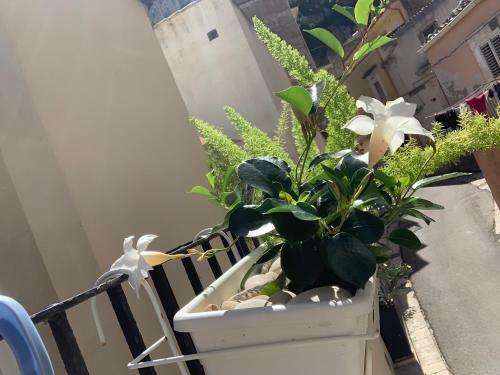 Hostal Il Canale Design House