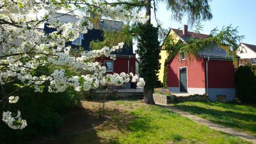 Haus An Den Elbwiesen