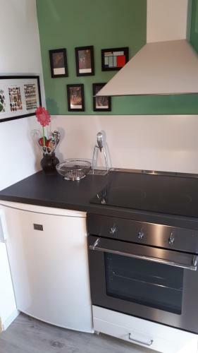 Apartamento Appartement Ginstertraum