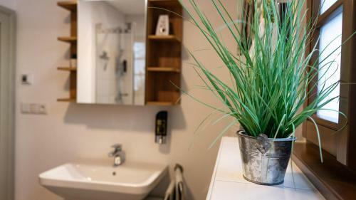 Apartamento M�hlenhof M�hring