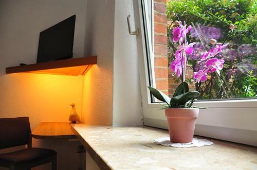 Apartamento Ferienwohnungen Abraham