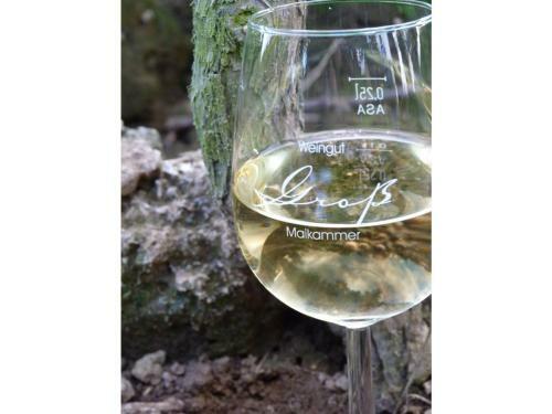 Apartamento Ferienwohnung Weingut Gro�