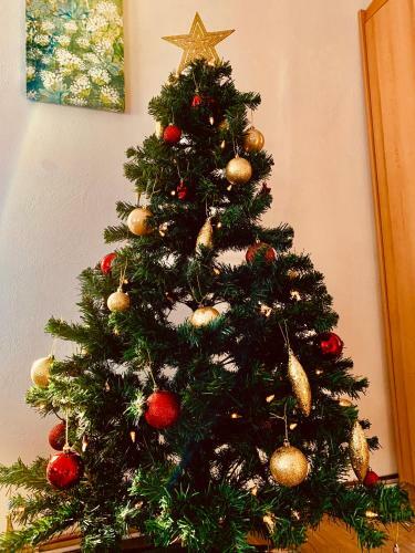 Apartamento Ferienwohnung Elfriede