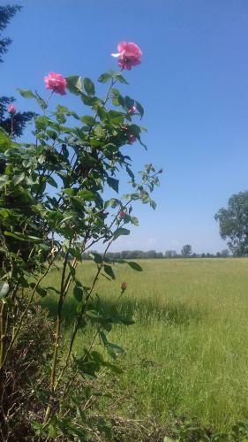 Apartamento G�stezimmer