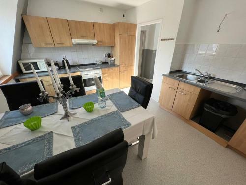 Apartamento Elbe Villa Magdeburg