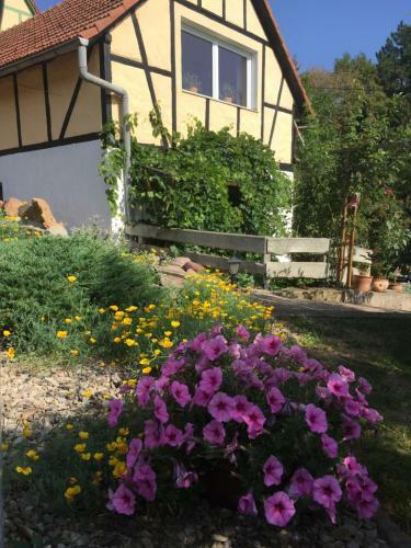 Apartamento Ferienwohnung "zum Schlossblick"