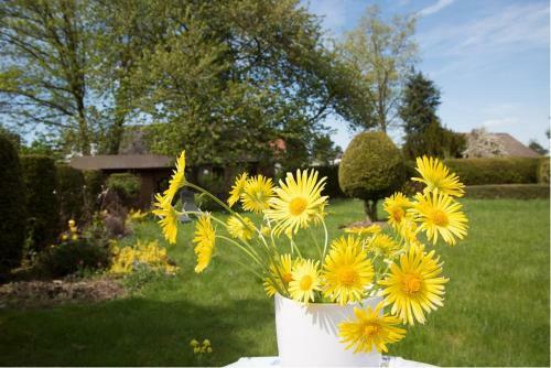 Bed & Breakfast Altes Forsthaus