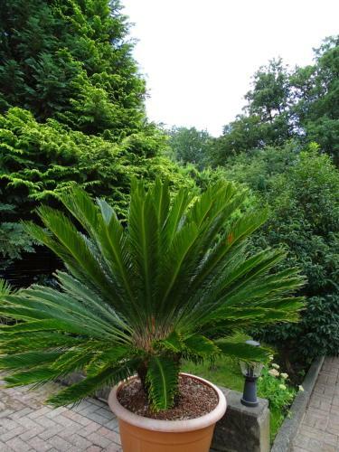 Hostal G�stehaus Schwentineblick