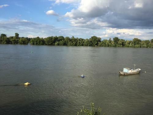 Apartment 'rheinblick' Mit Grosser Terrasse