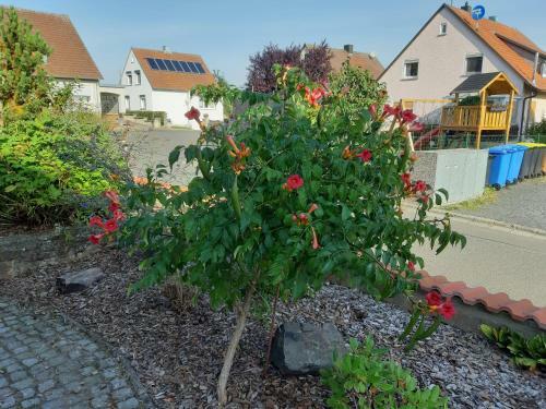 Apartamento Ferienwohnung Maroldsweisach