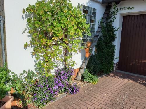 Apartamento Ferienwohnung Maroldsweisach