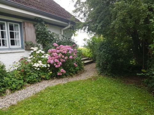 Cottage Marxdorf