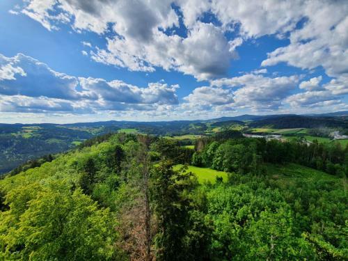 Apartamento Haus Bergblick