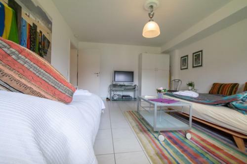 Tolstov-hotels Big Room Apartment