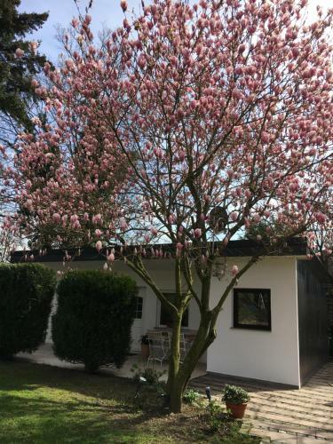 Boardinghouse Meerbusch