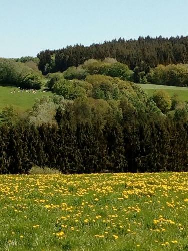 B&B Den Lange Heiman