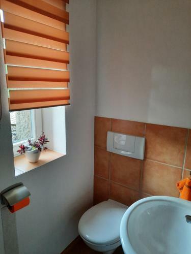 Apartamento Ferienwohnung Villa Frosch
