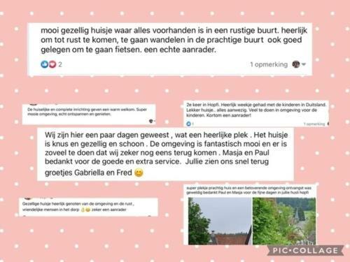 Hopfi Husli